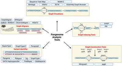 From the reference human genome to human pangenome: Premise, promise and challenge